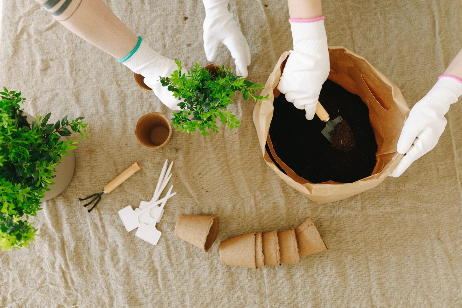Learners team gardening at Brighter Futures
